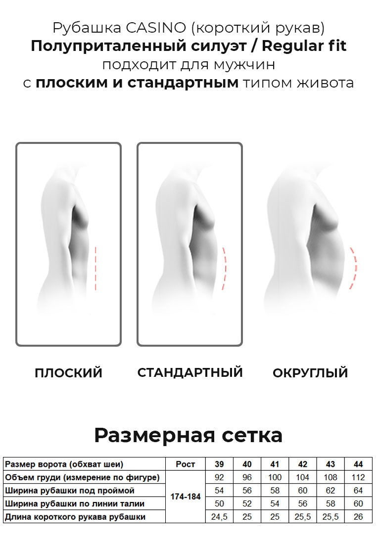 c731/0/4782/Z Сорочка мужская короткий рукав