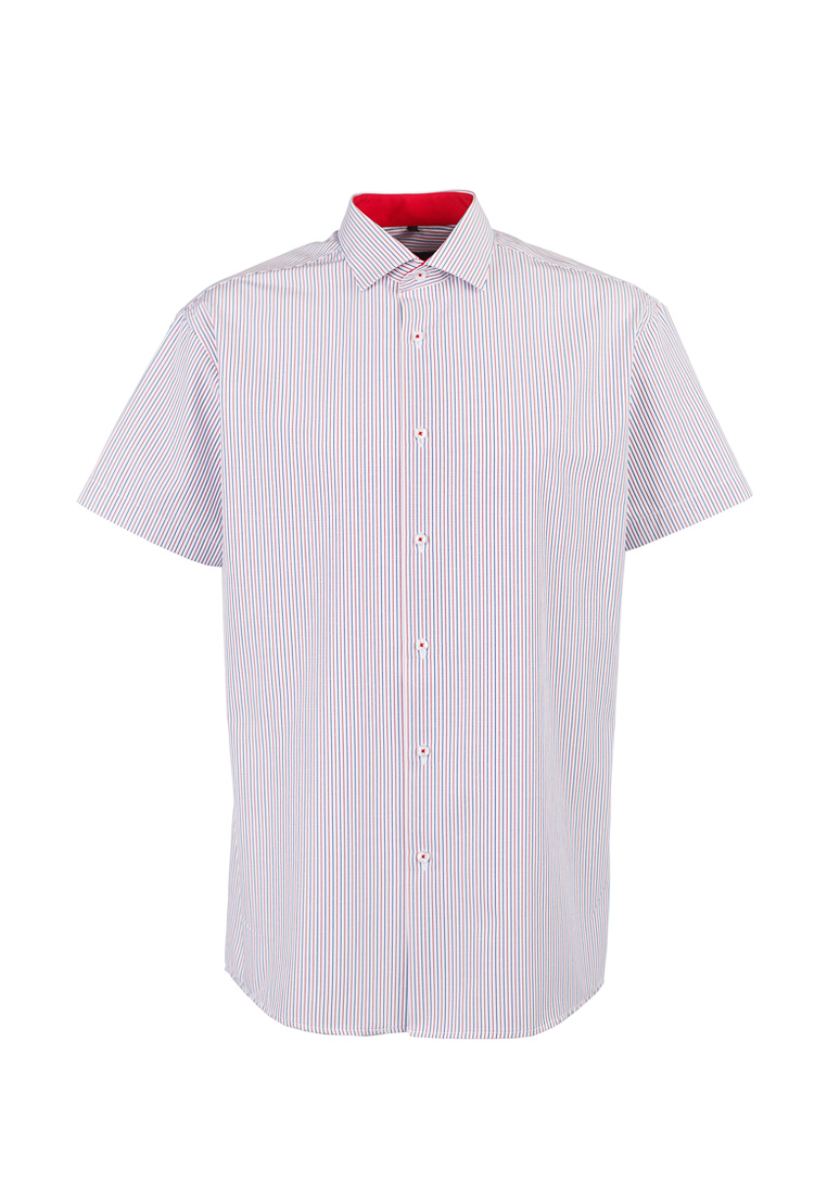 161/109/939/Z/1 Сорочка мужская короткий рукав