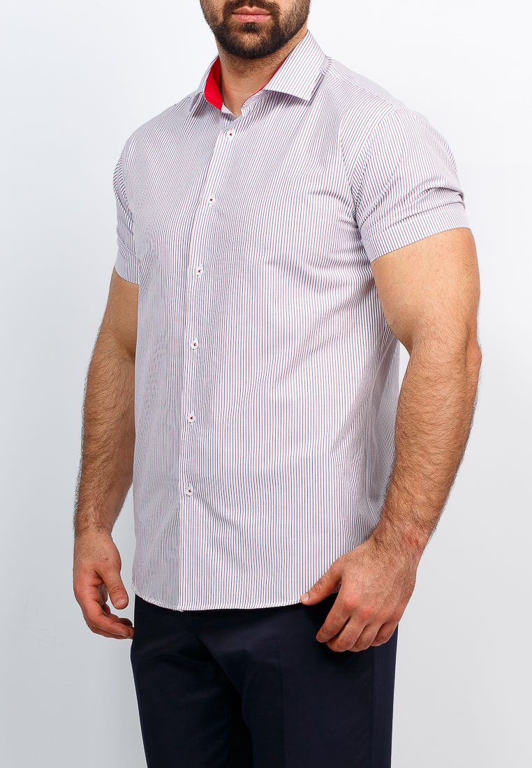 161/109/939/Z/1 Сорочка мужская короткий рукав