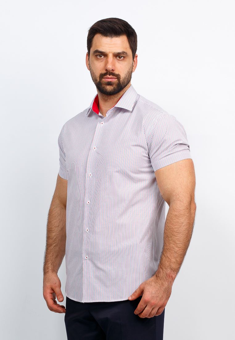 161/109/939/Z/1 Сорочка мужская короткий рукав