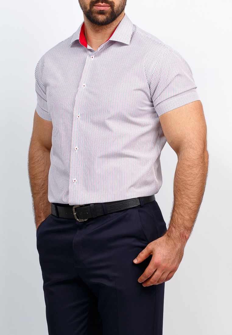 161/109/939/Z/1 Сорочка мужская короткий рукав