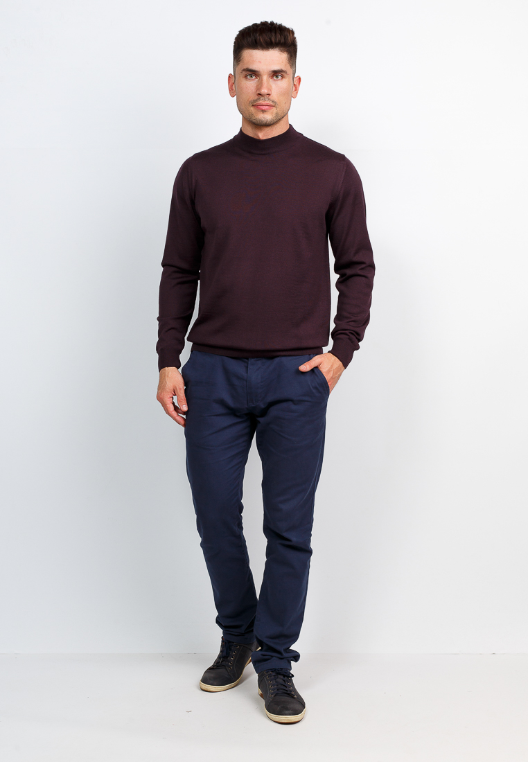 G122-AN241944А (шоколад) Джемпер мужской