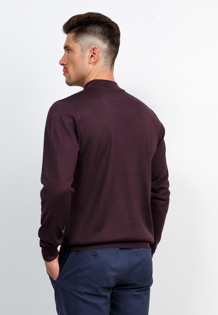 G122-AN241944А (шоколад) Джемпер мужской