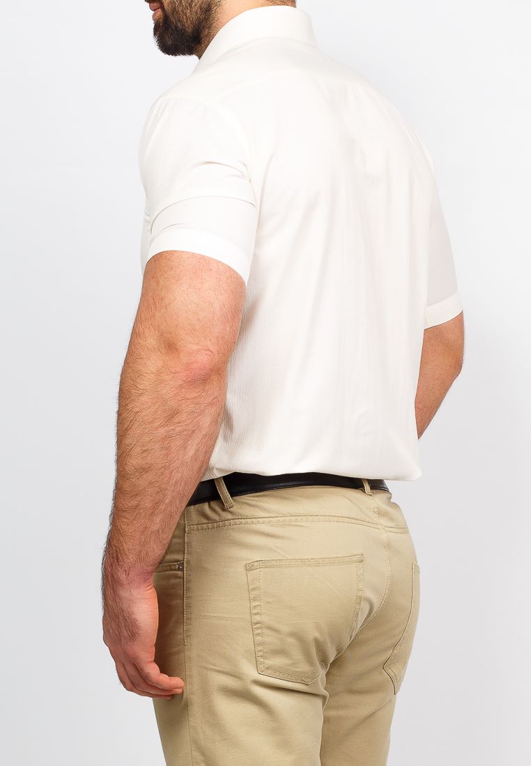 c503/0/944/Z Сорочка мужская короткий рукав (в упаковке 12 шт)