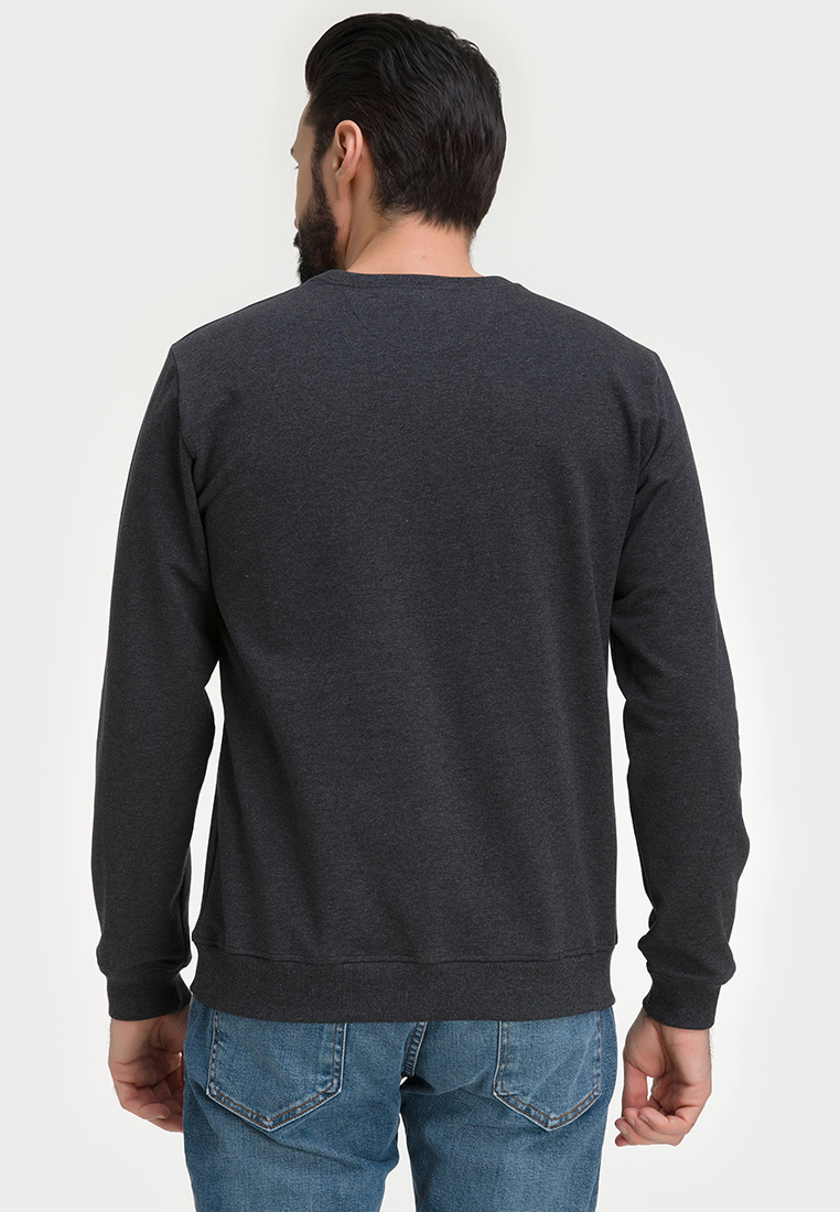 G121-OZ02-30 (антрацит м.) Свитшот мужской