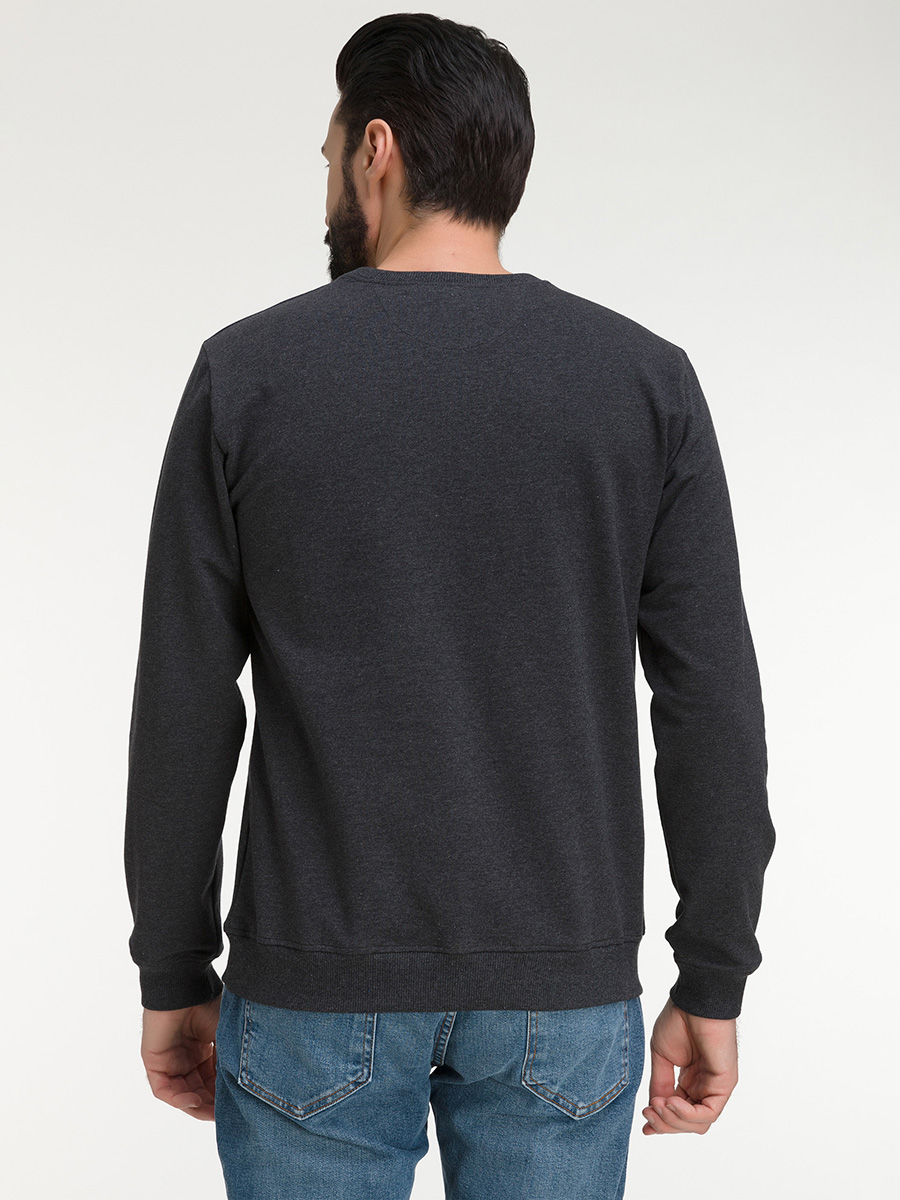 G121-OZ02-30 (антрацит м.) Свитшот мужской