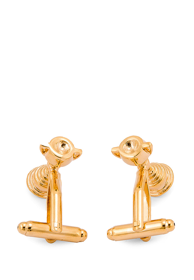 170410 Запонки в подарочной коробке