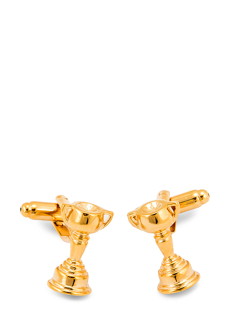 170410 Запонки в подарочной коробке