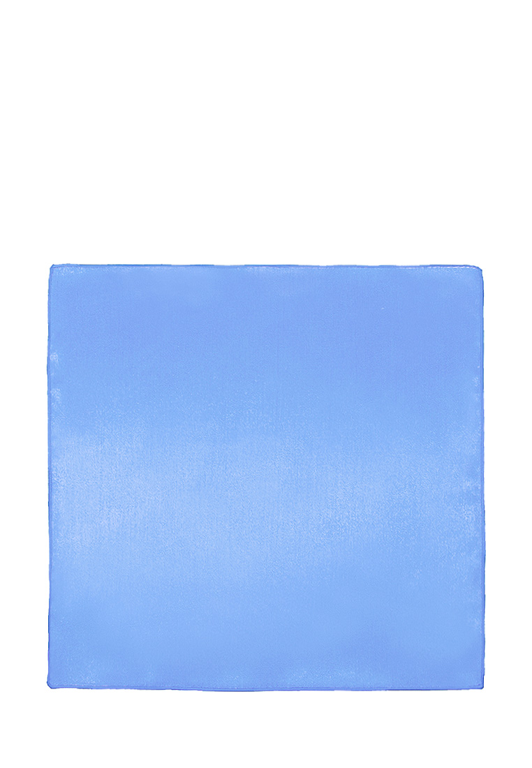 Hanky-poly2 30х30-гол.900.02.17 Карманный платок