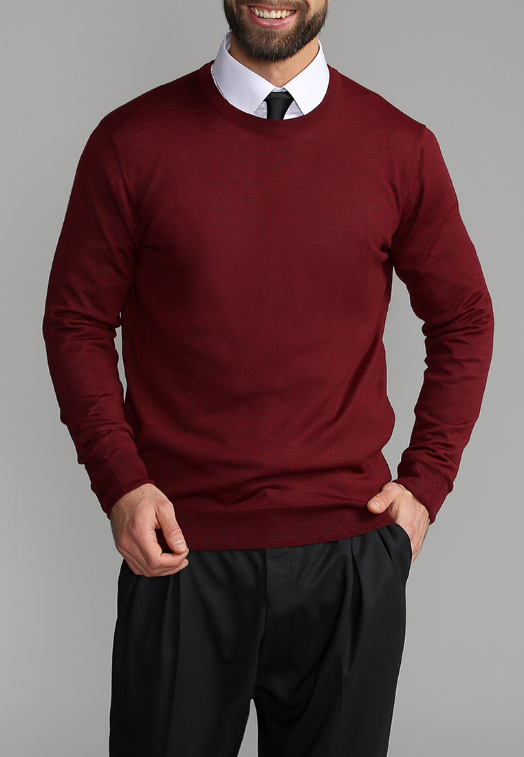 G121-EV (бордо) Джемпер мужской