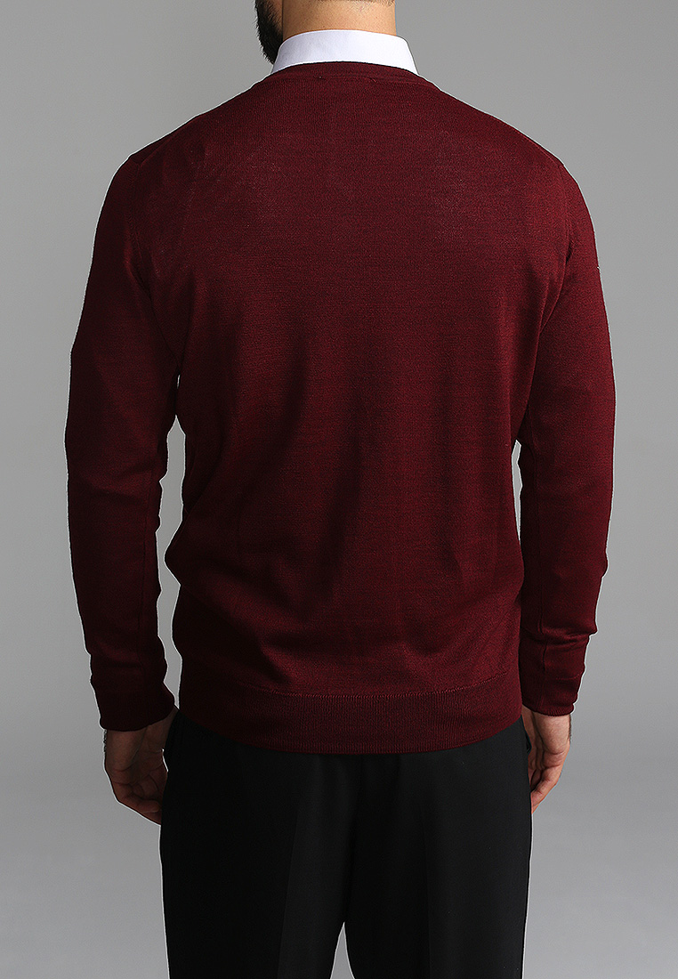 G121-EV (бордо) Джемпер мужской