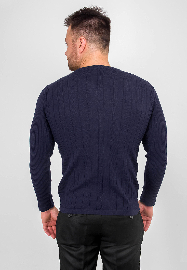 G121-12-лапша D1 (син./малина) Джемпер мужской