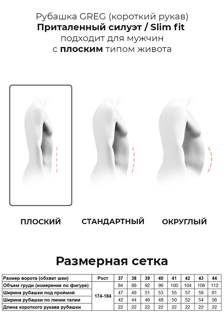 211/109/301/ZV Сорочка мужская короткий рукав