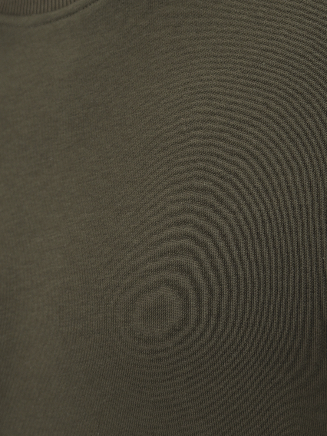 G121-OZ03-38 (хаки) Свитшот мужской