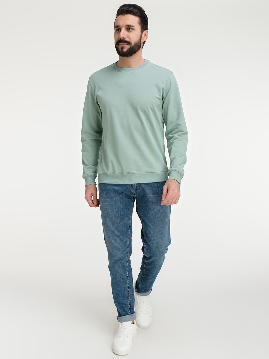 G121-OZ02-2020 (минт) Свитшот мужской