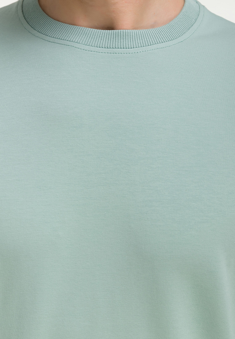 G121-OZ02-2020 (минт) Свитшот мужской