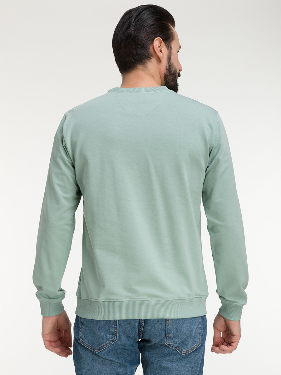 G121-OZ02-2020 (минт) Свитшот мужской