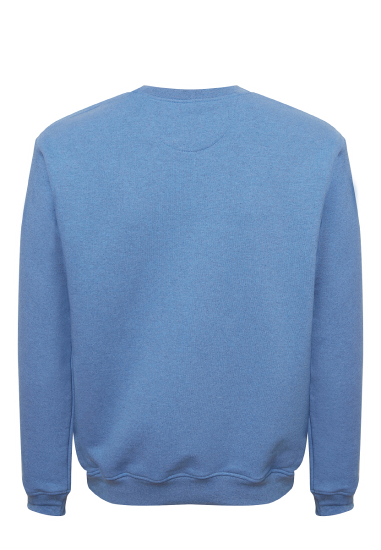 G121-RD-3008_R (голубой.м) Свитшот мужской