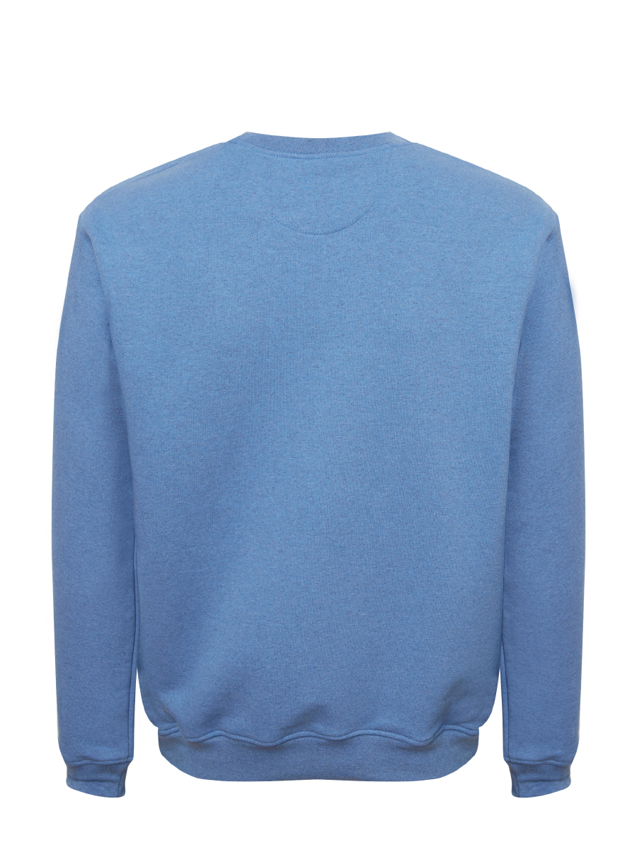 G121-RD-3008_R (голубой.м) Свитшот мужской