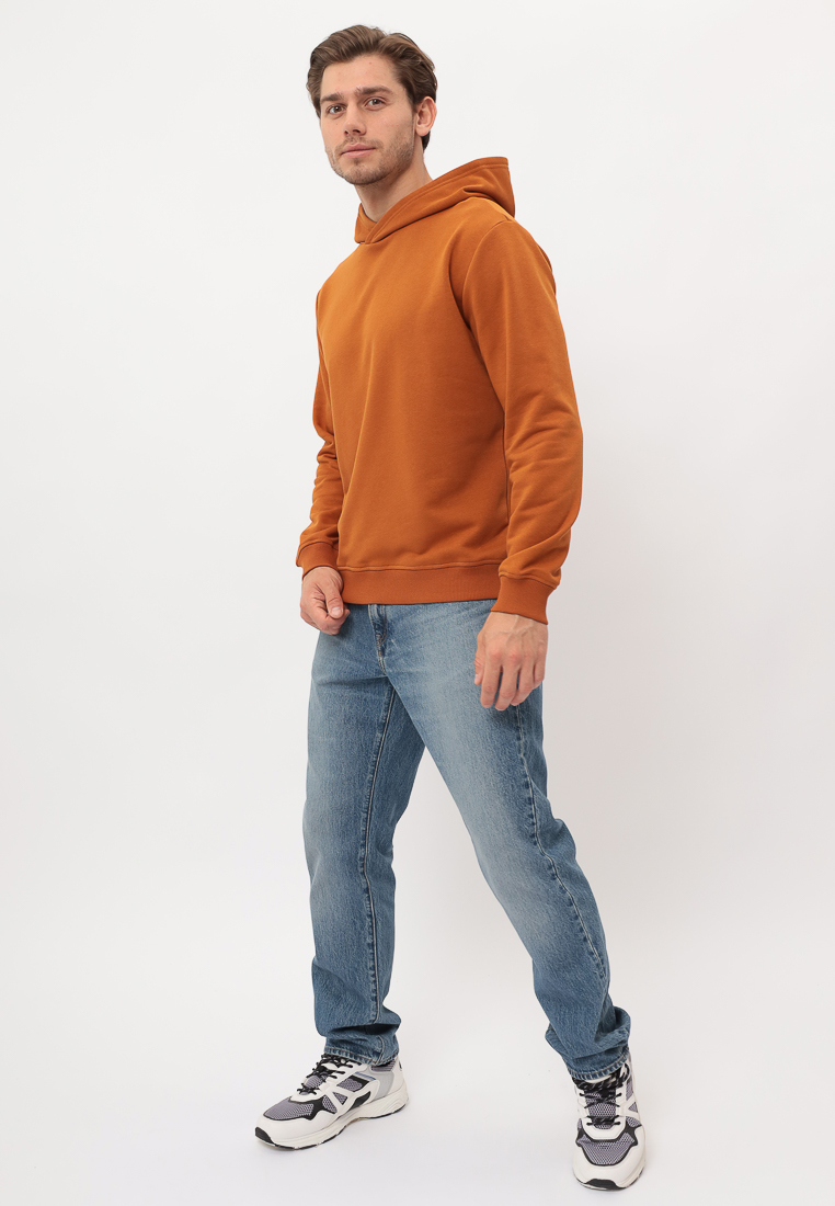 G172-OZ03-35_R (терракот) Худи мужское