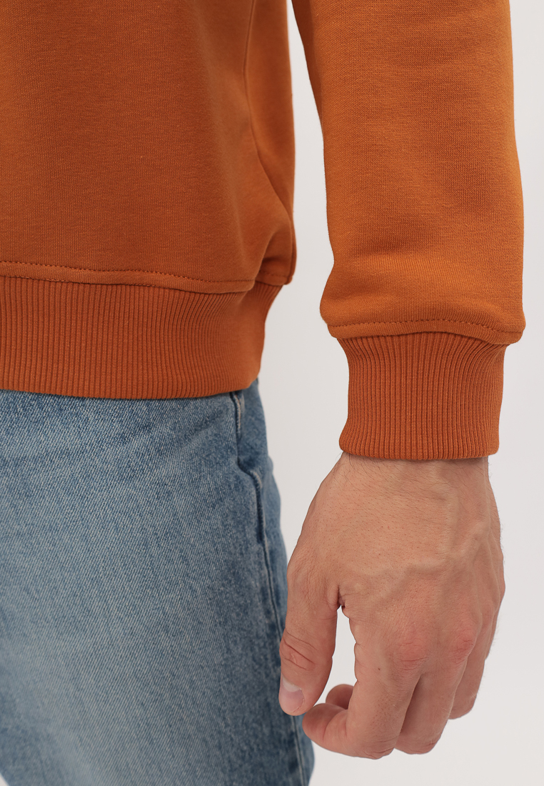 G172-OZ03-35_R (терракот) Худи мужское