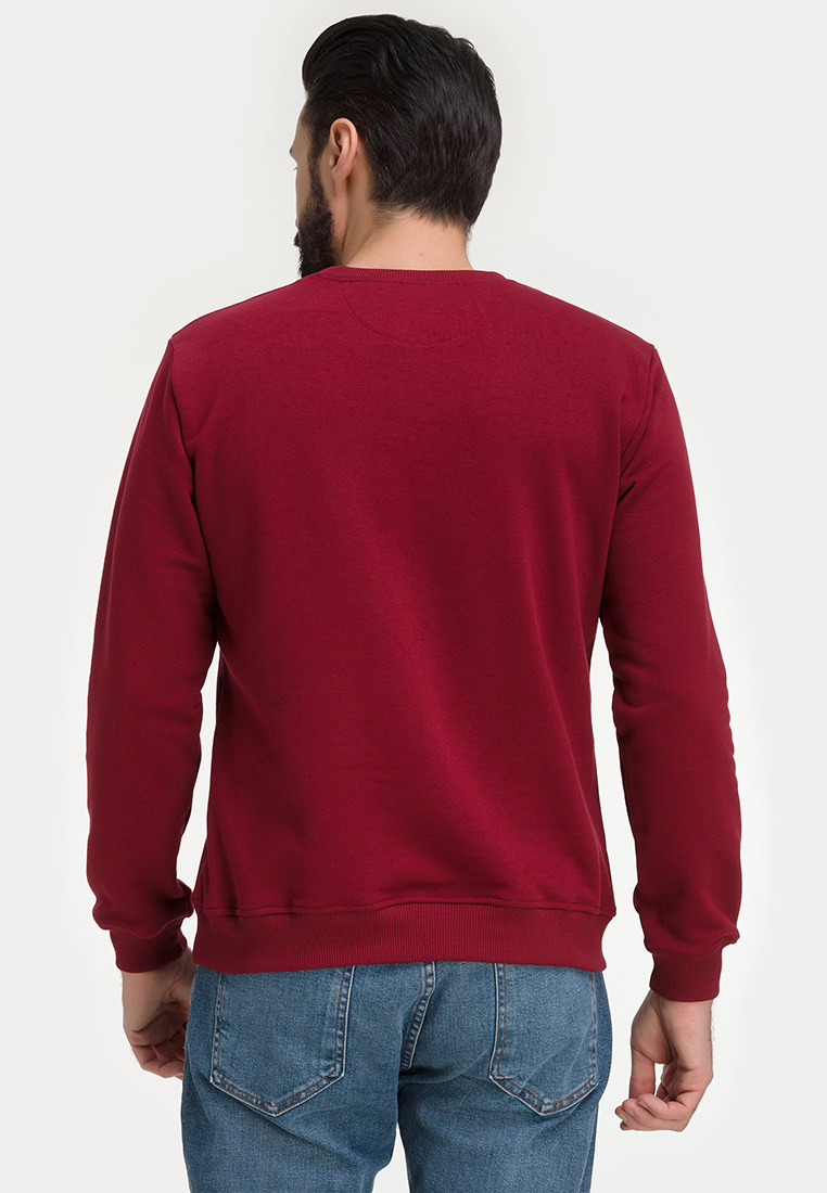 G121-OZ03-45_R (бордо) Свитшот мужской