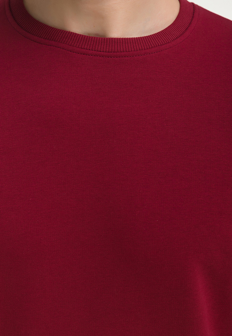 G121-OZ03-45_R (бордо) Свитшот мужской