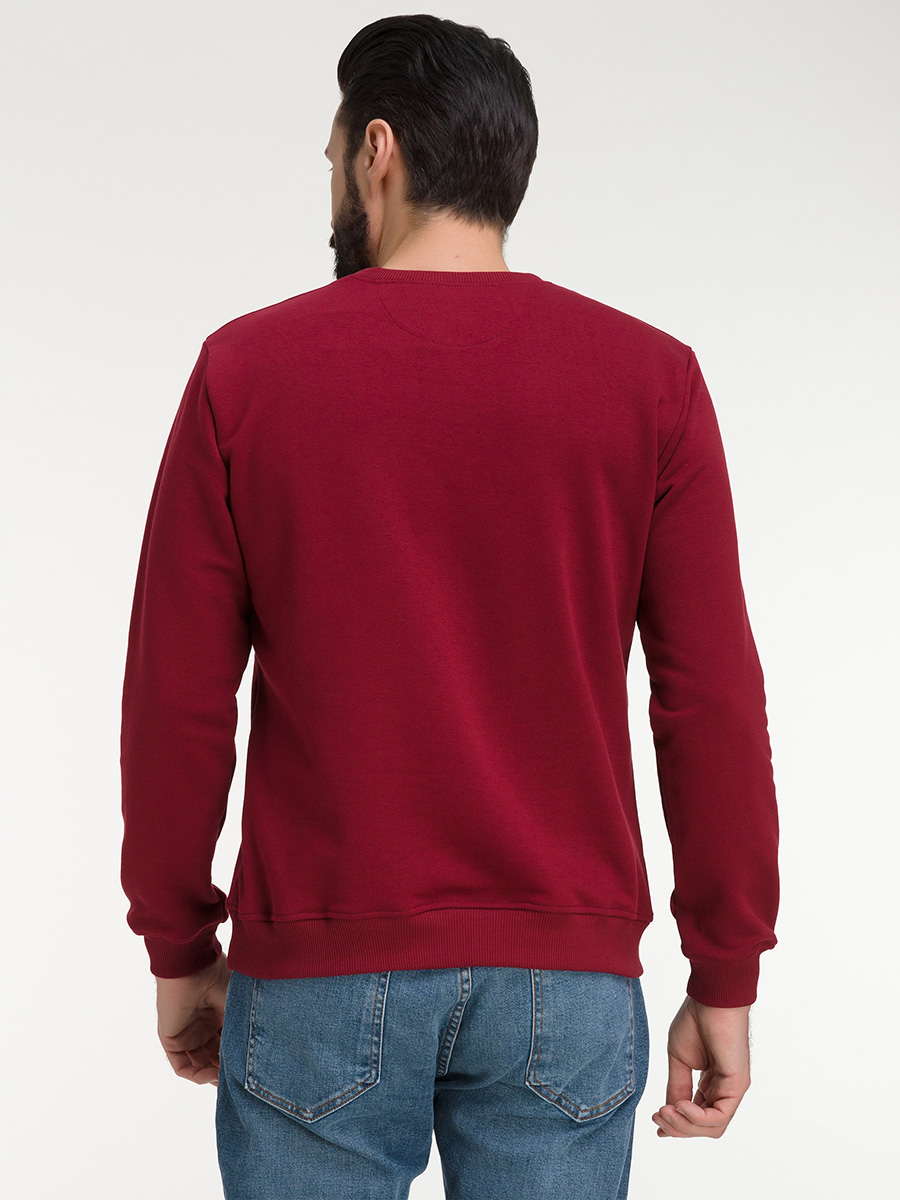 G121-OZ03-45_R (бордо) Свитшот мужской