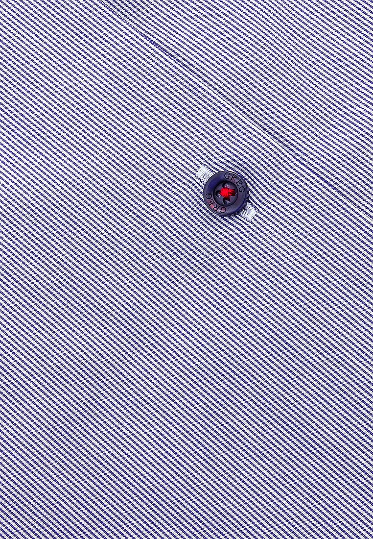 221/131/6129/Z/1p Сорочка мужская длинный рукав