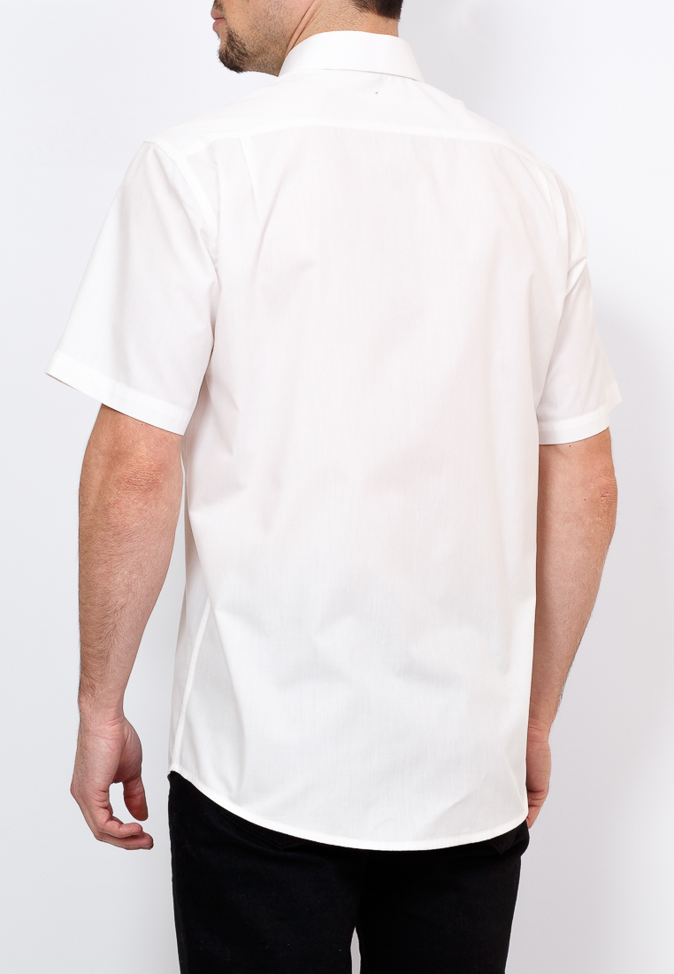 c501/0/302 Сорочка мужская короткий рукав