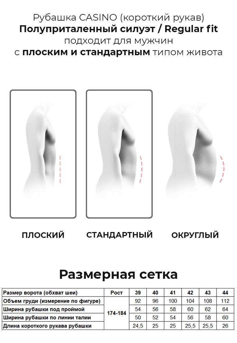 c220/0/6403/Z Сорочка мужская короткий рукав