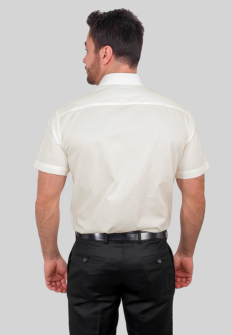 510/109/ALT/Z Сорочка мужская короткий рукав