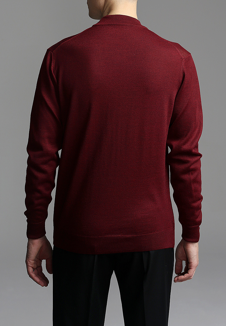 G122-EV (бордо) Джемпер мужской