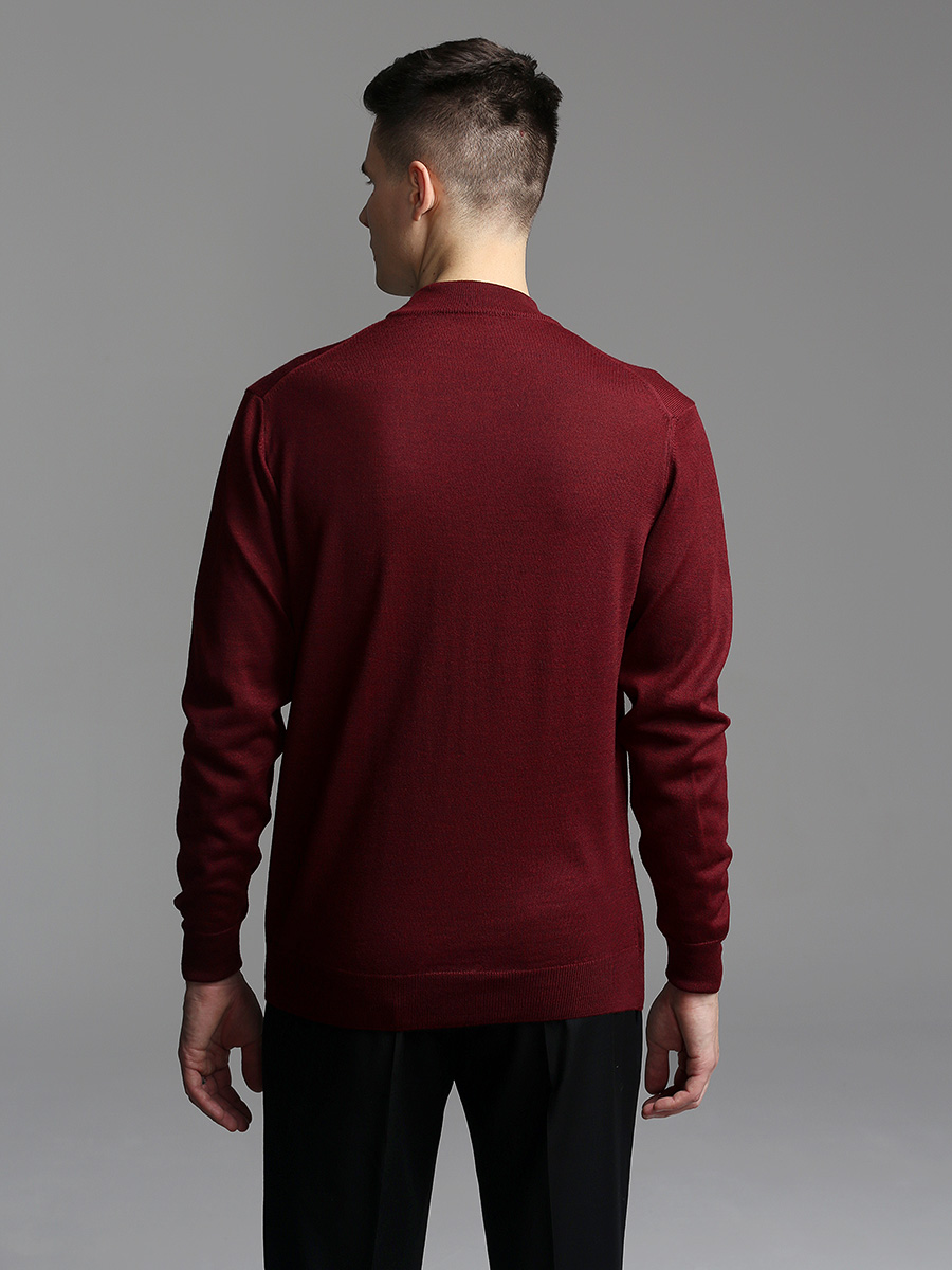 G122-EV (бордо) Джемпер мужской