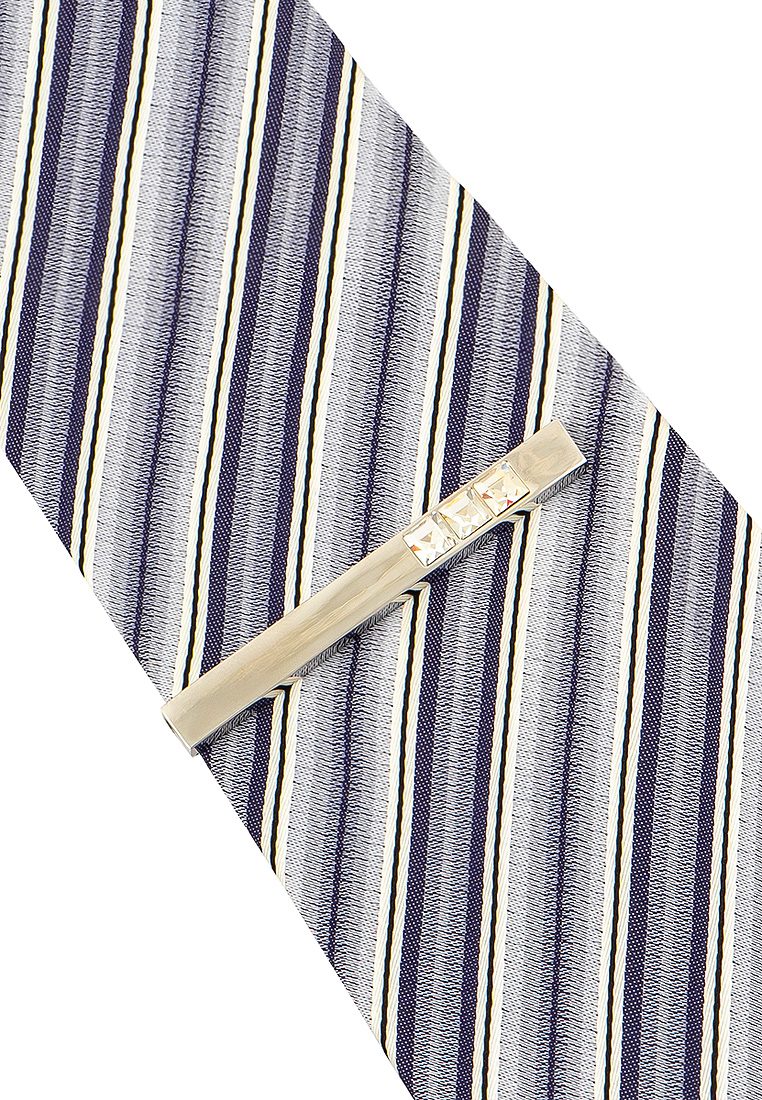 155950 Зажим для галстука в подарочной коробке