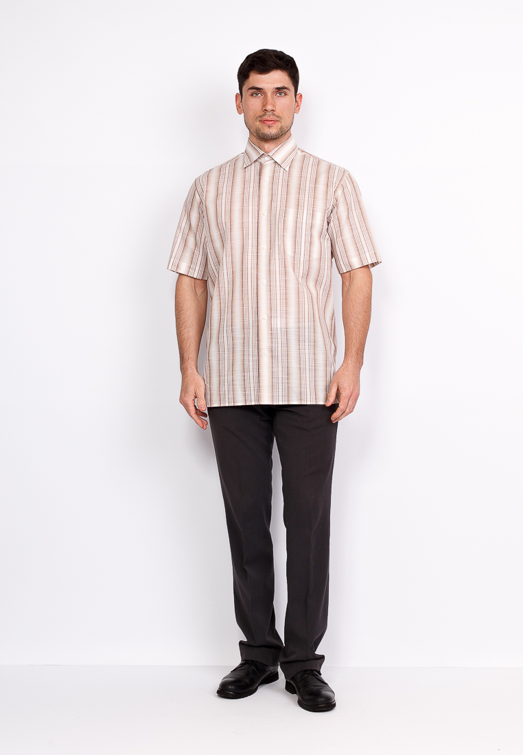 151/301/636/C Сорочка мужская короткий рукав