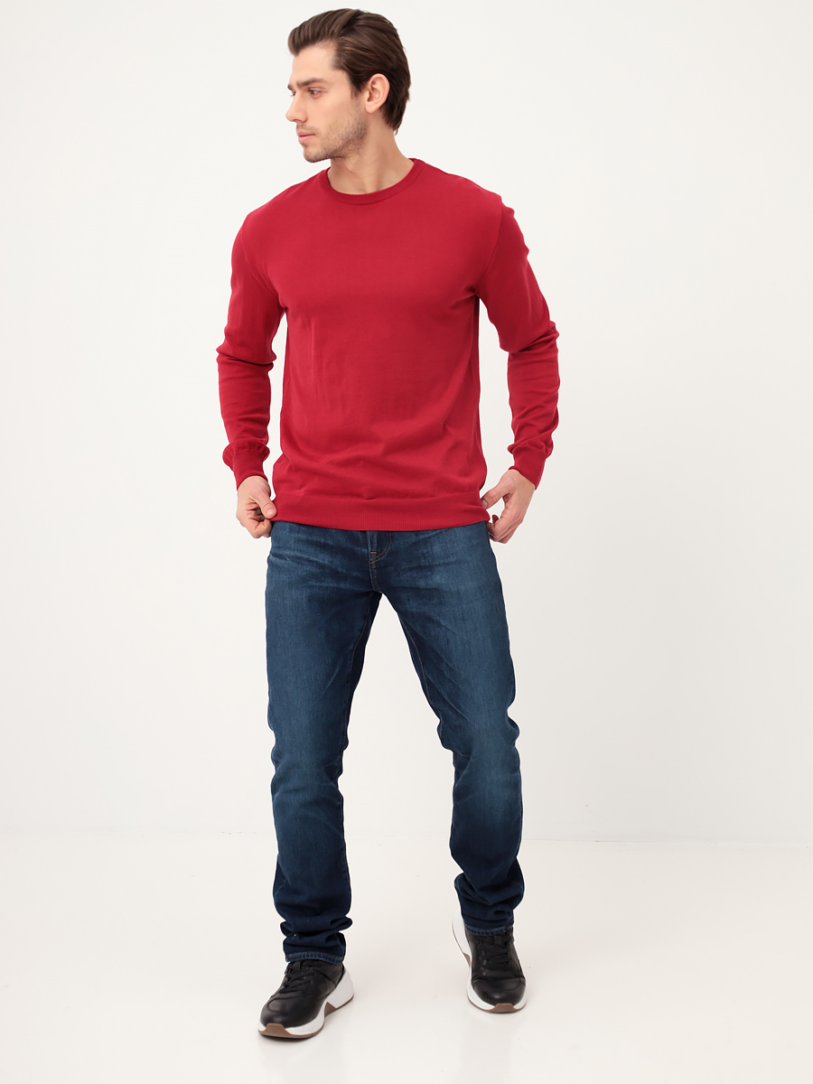 G121-57394 (бордо) Джемпер мужской