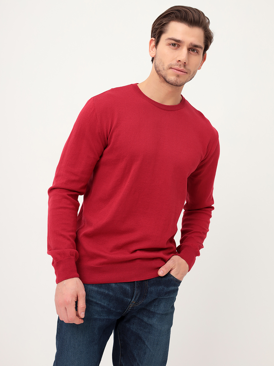 G121-57394 (бордо) Джемпер мужской