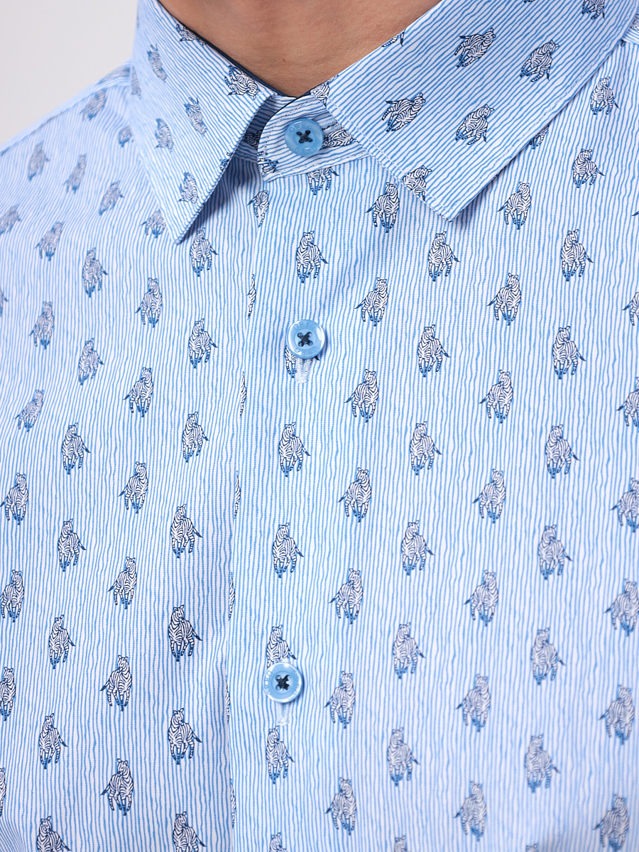 223/231/202/Z/1 Сорочка мужская длинный рукав