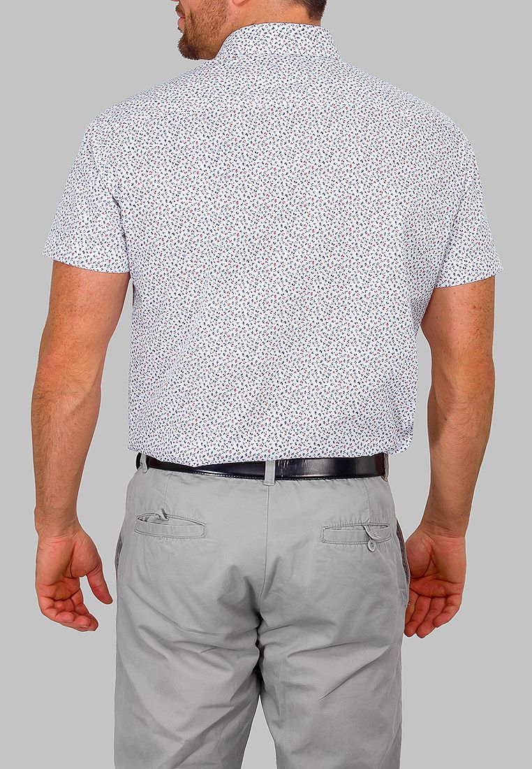 163/109/2207/ZS/C/1 Сорочка мужская короткий рукав