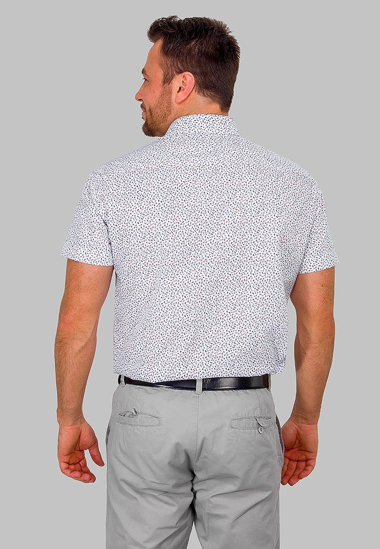 163/109/2207/ZS/C/1 Сорочка мужская короткий рукав