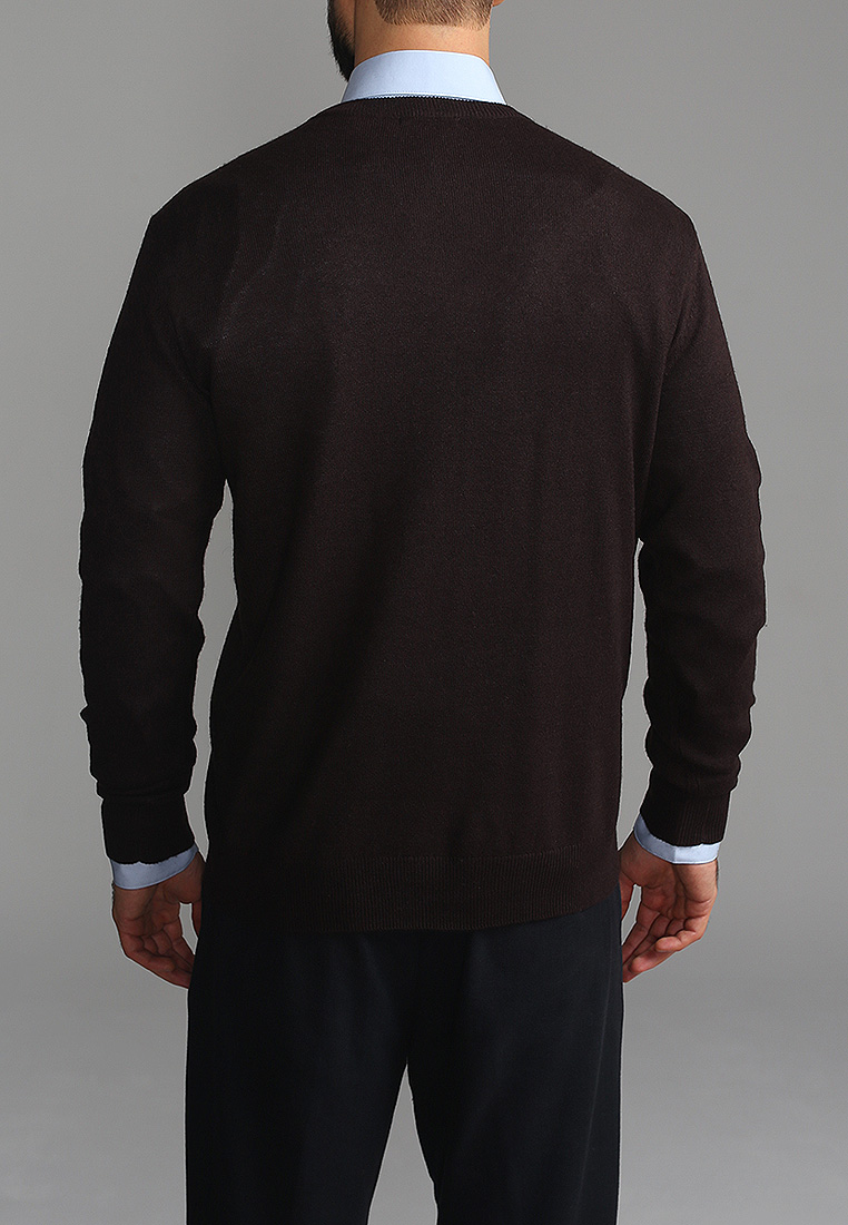 G121-DA54 шоколад Джемпер мужской