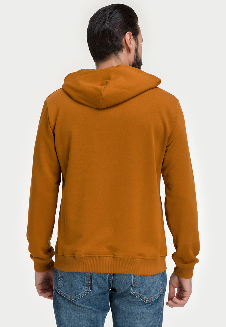 G171-OZ03-35_R (терракот) Худи мужское