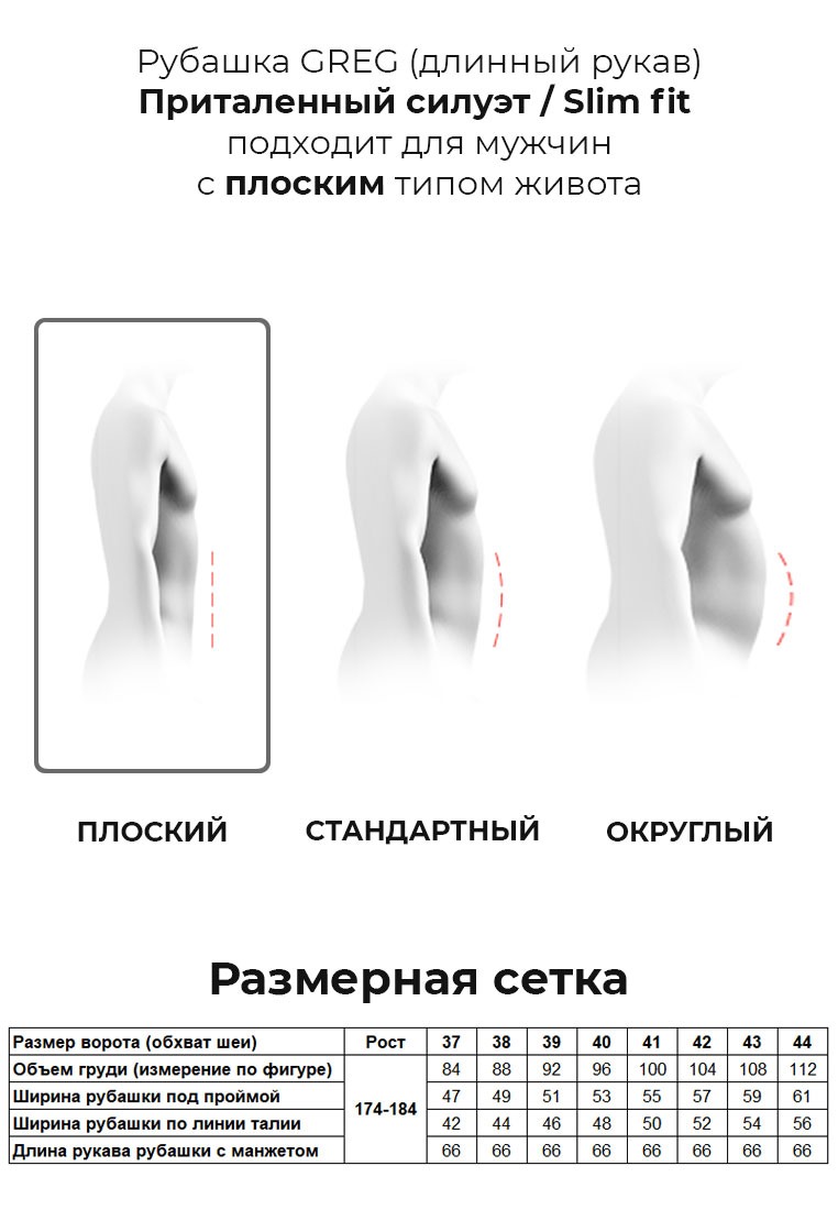 223/139/695/ZV/1 Сорочка мужская длинный рукав