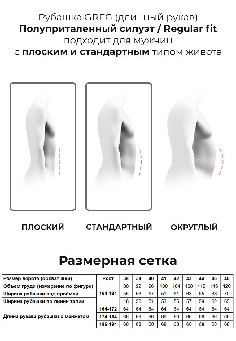 223/111/238/Z/1 Сорочка мужская длинный рукав