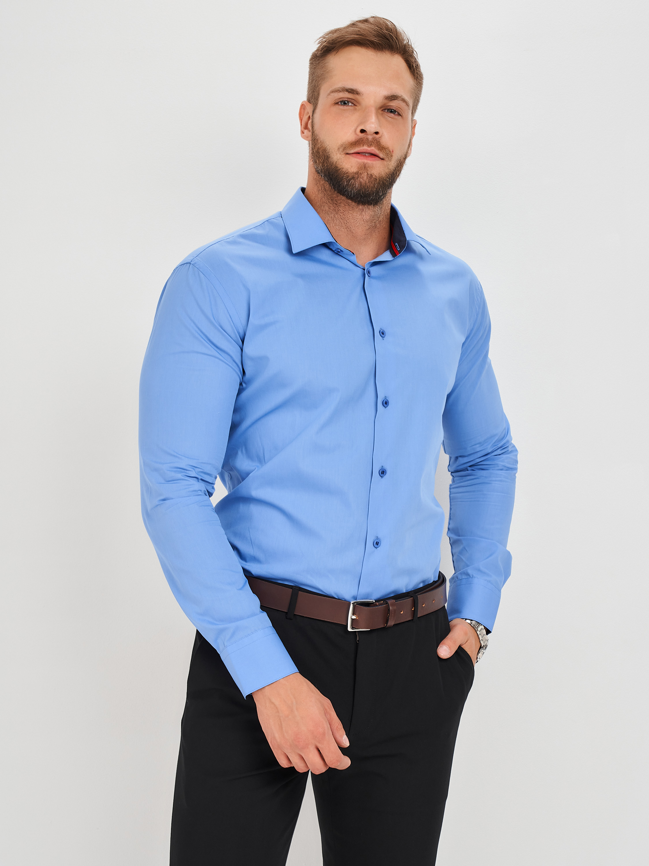 c220/157/004/Z/3p Сорочка мужская длинный рукав