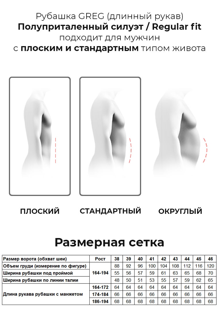 123/211/913/Z/1p Сорочка мужская длинный рукав