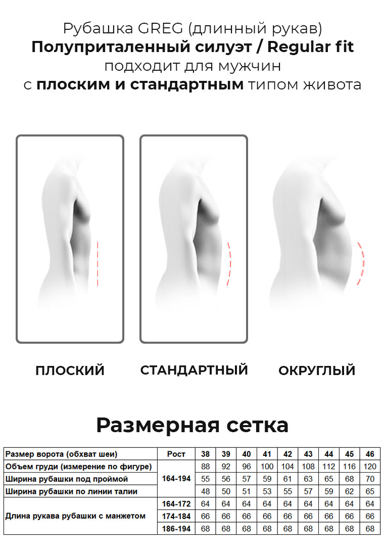 713/131/19002/Z/1_GB Сорочка мужская длинный рукав