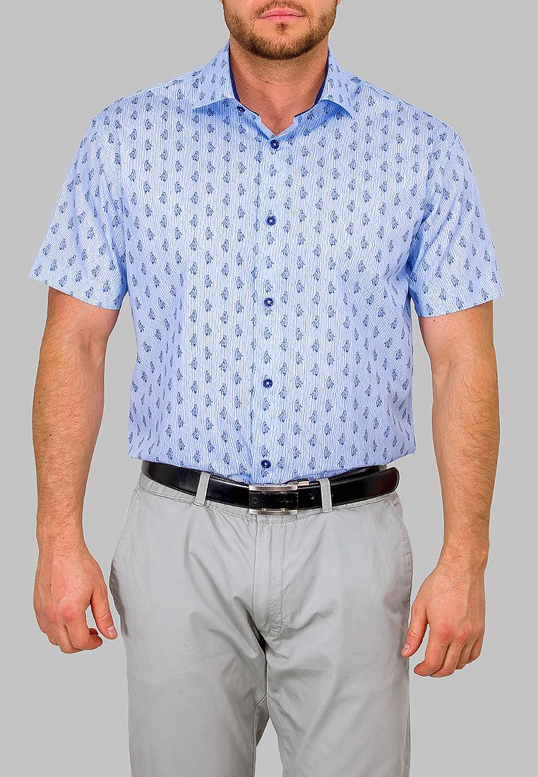 223/101/202/Z/1 Сорочка мужская короткий рукав