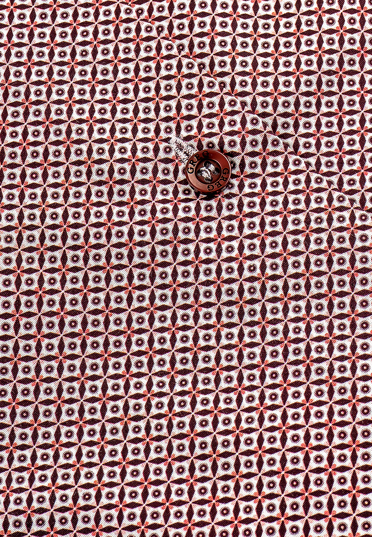 663/101/96012/Z/1_GB Сорочка мужская короткий рукав